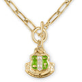 AKA Shield Toggle Necklace-Gold