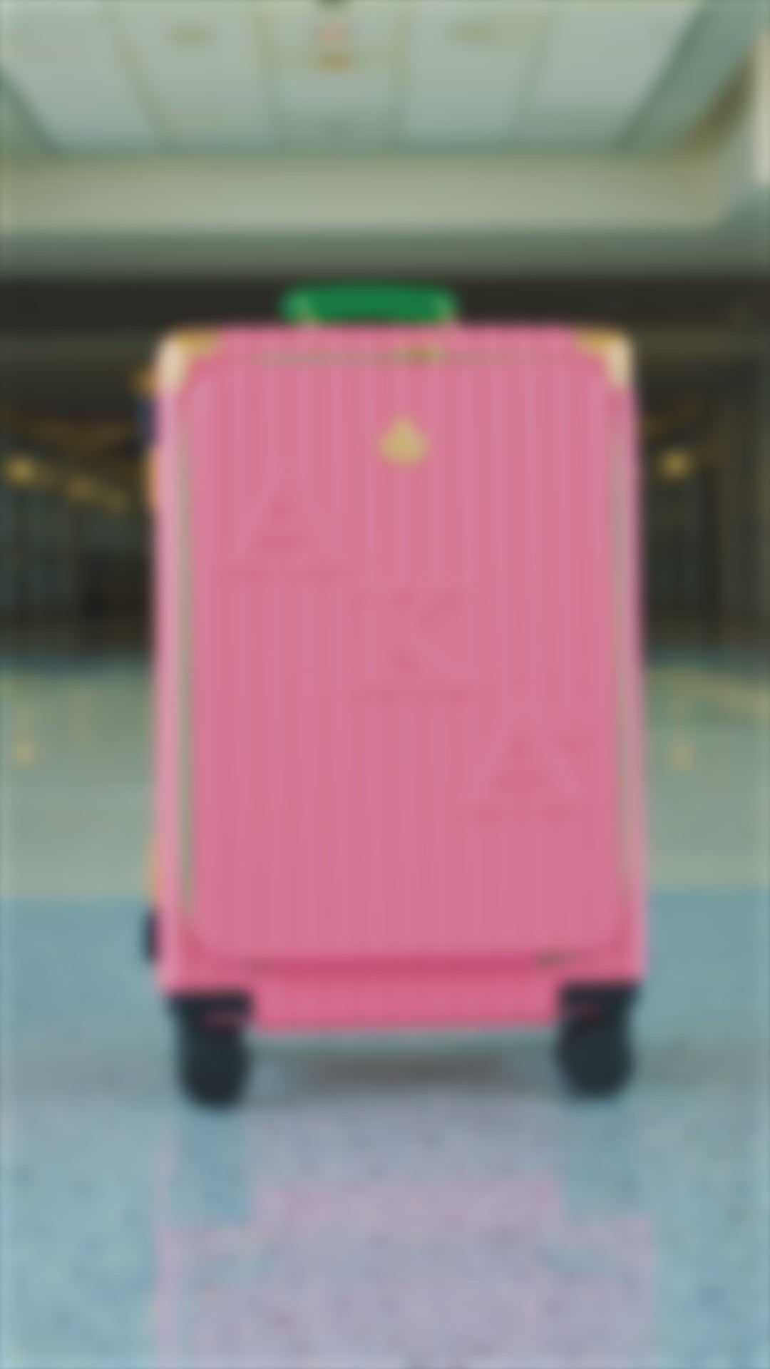 Executive Ivy 22" Suitcase